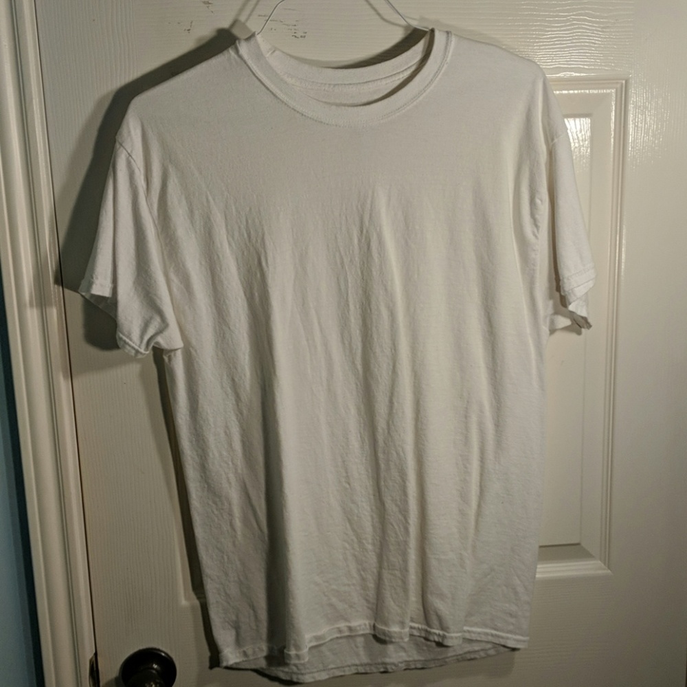 Plain White T